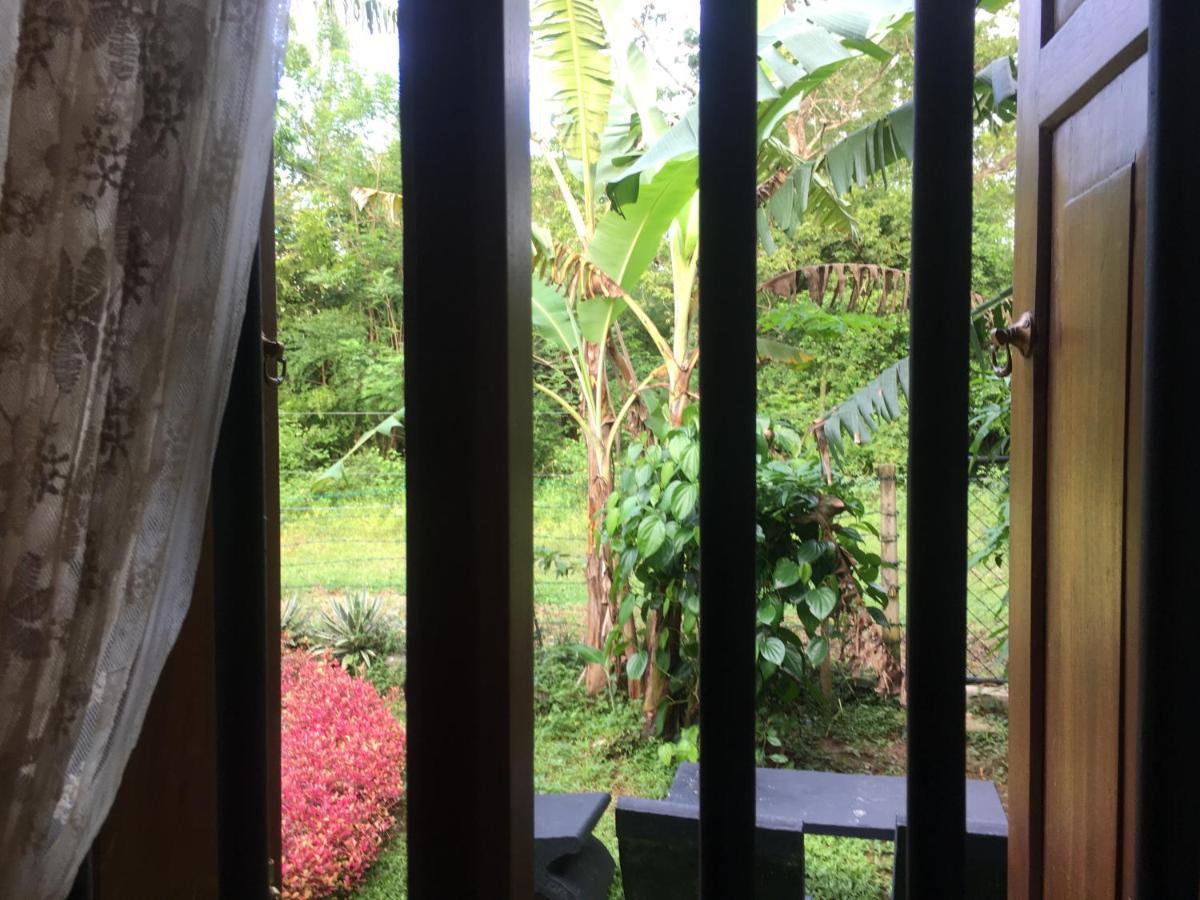 Owls Nest Hotel Udawalawe Exterior photo